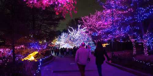 PNC Festival of Lights