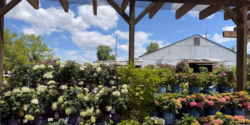 \u2600\ufe0fHydrangea Festival \ud83d\udc1e