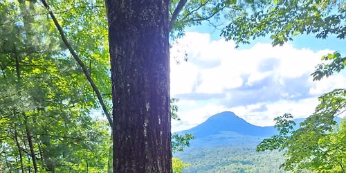 Laurel Ridge Plant Hike