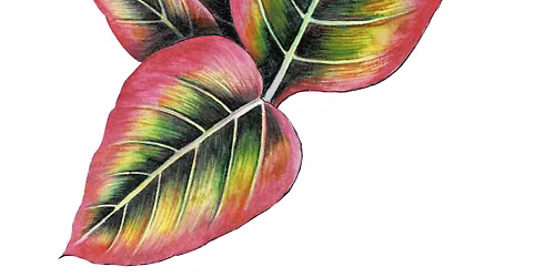 Inspired by Nature Summer Art Camp