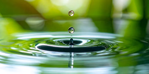 SOUL MOTION FOUNDATIONS: The Ebb and Flow of Belonging