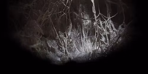 Abstract Photography