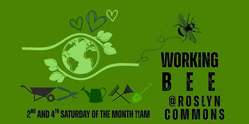 Working bee at Roslyn Commons