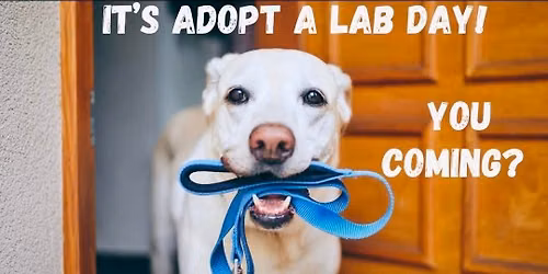 Adopt A Lab Day