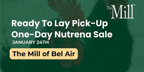 Ready To Lay Pick-Up One-Day Nutrena Sale 