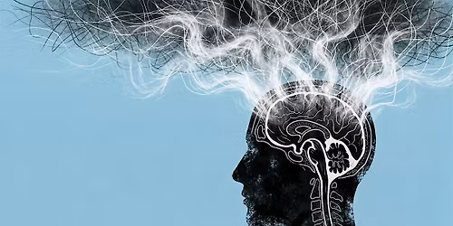 Davis Salon Night: Brain and Mental Health Trivia