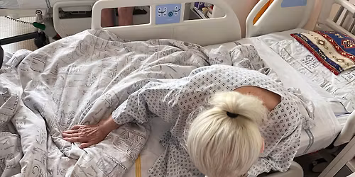 Semin\u00e1\u0159 Start budouc\u00edho canisterapeuta