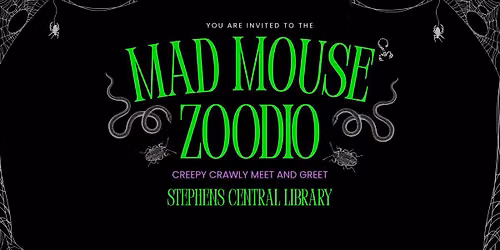 Mad Mouse Zoodio: A Creepy Crawly Good Time