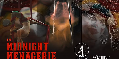"A Midnight Menagerie" with Amber Sky Aerial Arts