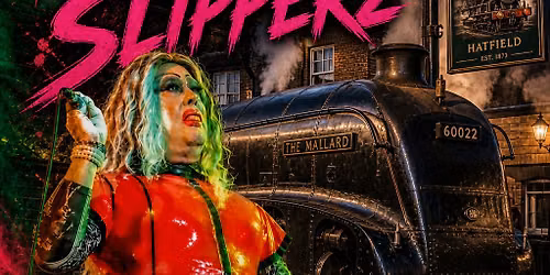 Presenting Magenta Slipperz 