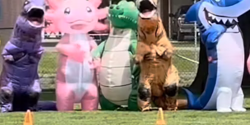 Inflatable Costume Silly Stroll