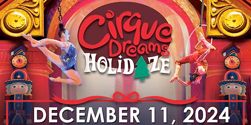 Cirque Dreams Holidaze at Jones Hall at Wortham Center
