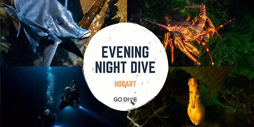 Little Howrah Beach Shore Night Dive - With Instructor Matt