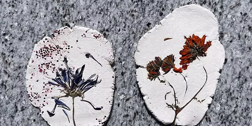 Clay Pressed Flowers