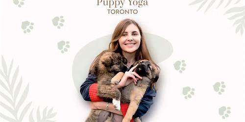 Puppy Yoga in Toronto