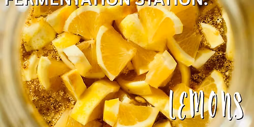 Fermentation Station: Lemons