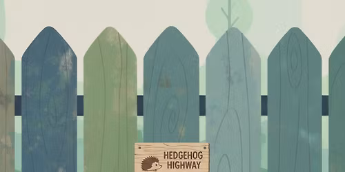 Hedgehogs and Hedgehog Highways