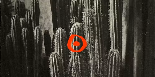 Sounds of Morelia