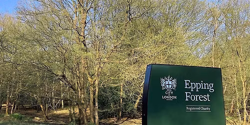 BGH x Epping Forest Heritage Trust: Family Walk in Epping Forest