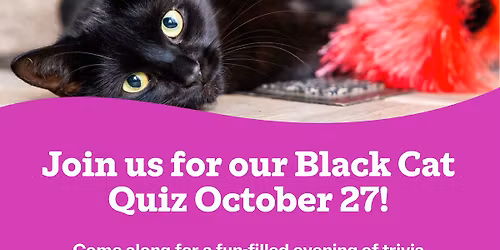Black Cat Day Quiz