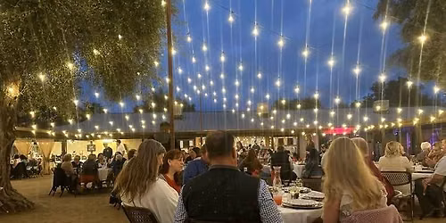 The Hey-Nows! at "Evening Under the Stars"