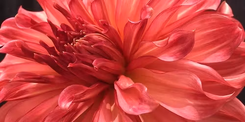 Annual Symposium & Garden Marketplace