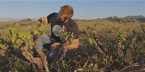 Eben Sadie Family Wines and the Swartland Revolution