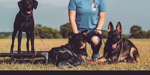 Group Obedience Class 
