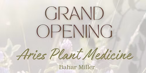 \u2728 Grand Opening \u2728