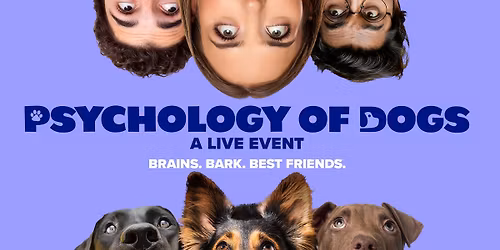 The Psychology of Dogs