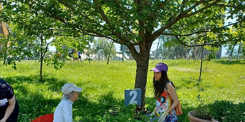 Urban Farm Volunteers