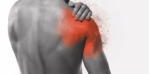 Shoulder Pain Workshop