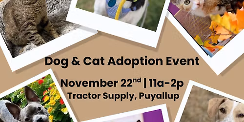 Adoption Event: Dog & Cat | November 22, 2025