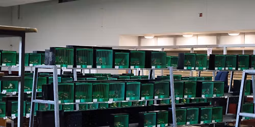 South Coast Open Show