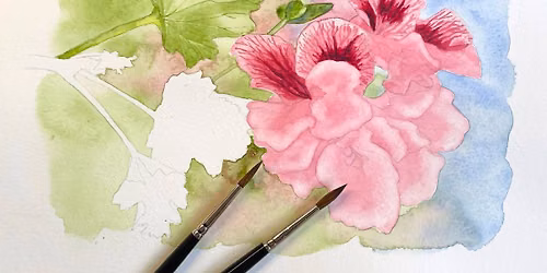 Pelargonium & Geranium Watercolour Workshop