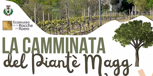 La camminata del Piant\u00e9 Magg \ud83e\udd7e\ud83c\udf33\ud83e\uddaf- aperta a tutti