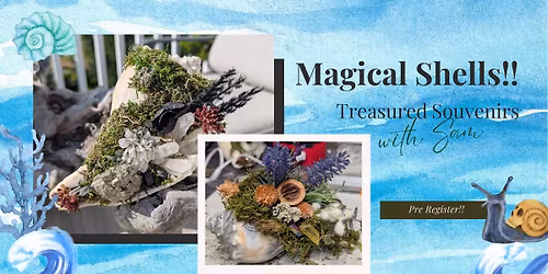 DIY Magical Shells: 2pm-3pm OR 4pm-5pm