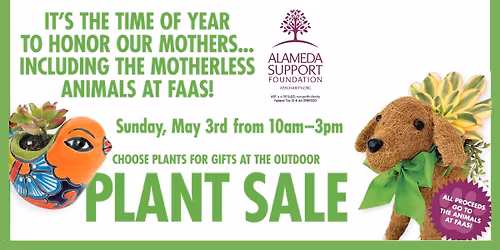 Bi-Annual Plant sale! 