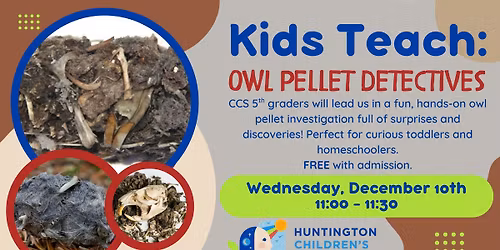 Kids Teach: Owl Pellet Detectives