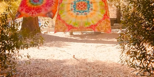 Tie Dye Workshop 