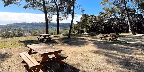 Gourmets en Plein Air #1