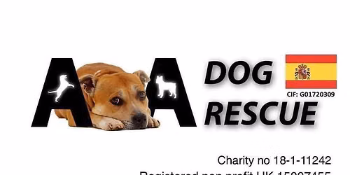 Dog show and fayre