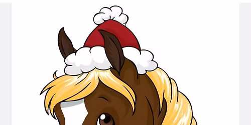 Christmas Unaffiliated Showjumping 