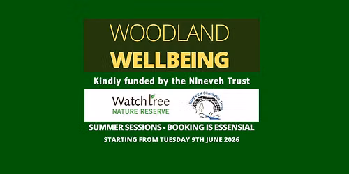Summer 2026 Woodland Wellbeing at Watchtree