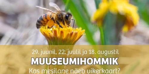 Koolivaheaja muuseumihommik "Kas mesilane n\u00e4eb vikerkaart?"