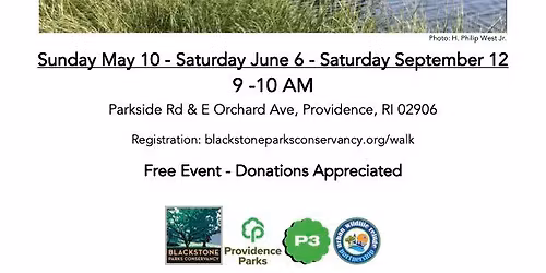 Shoreline Walks with Greg Gerritt