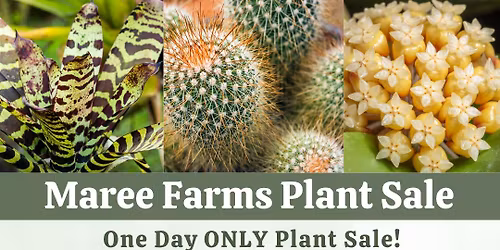 Maree Farms Plant Sale