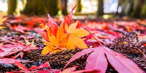 Falling Into Fall Vendor Craft Show