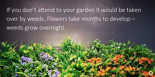 Opulence Global 20th Anniversary