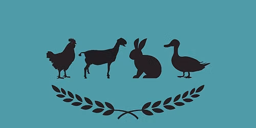 F3 (Fur, Feathers, and Friends) Show
